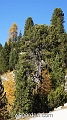 wbgarden alps 126